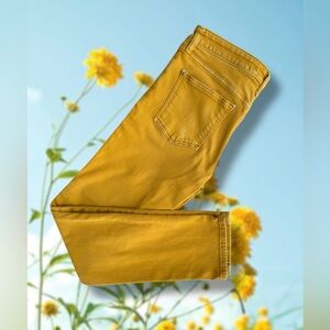 Anthropologie Pilcro Mustard Pants